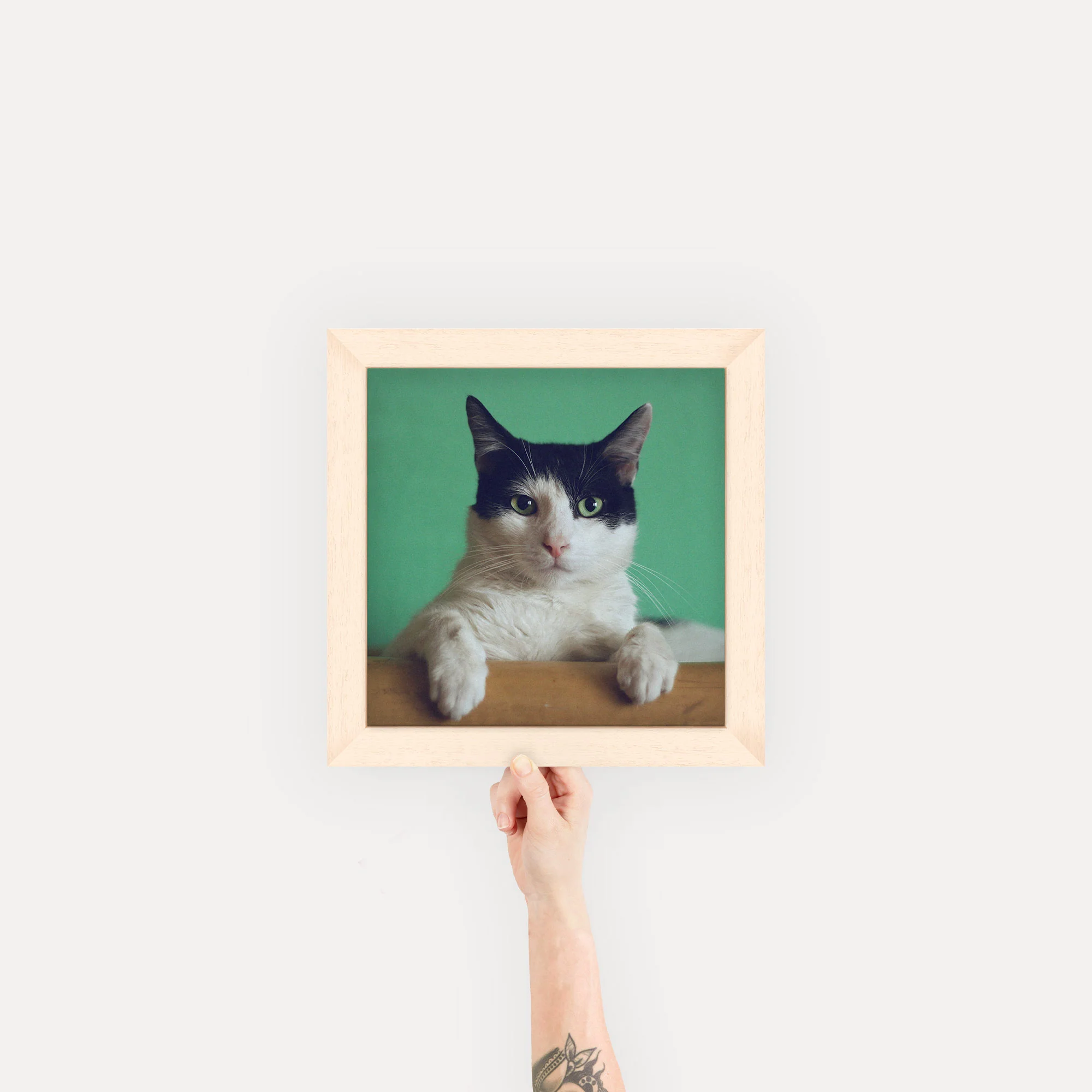 Product image 41